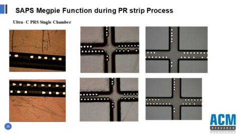 SAPS Megpie Function during PR strip Process